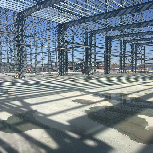 墨西哥立库项目