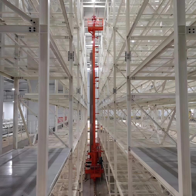 江门食品立库项目